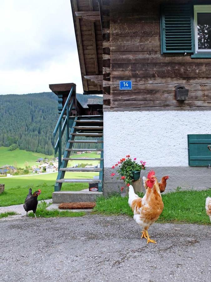 Ferienhaus Asterbach Гозау Екстериор снимка