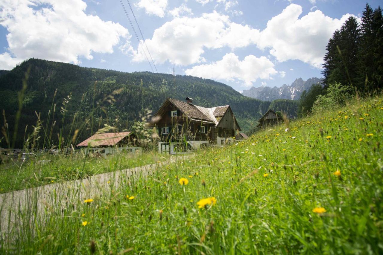 Ferienhaus Asterbach Гозау Екстериор снимка