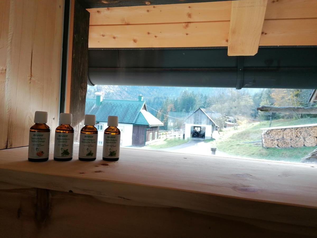 Ferienhaus Asterbach Гозау Екстериор снимка